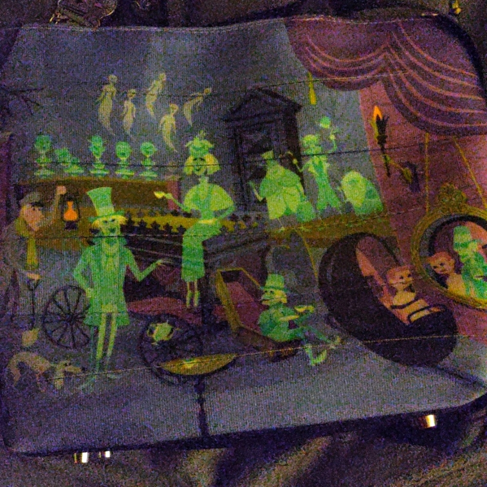 EUC Shag Haunted Mansion Seatbelt Tote